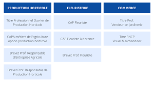 formation à distance cpf