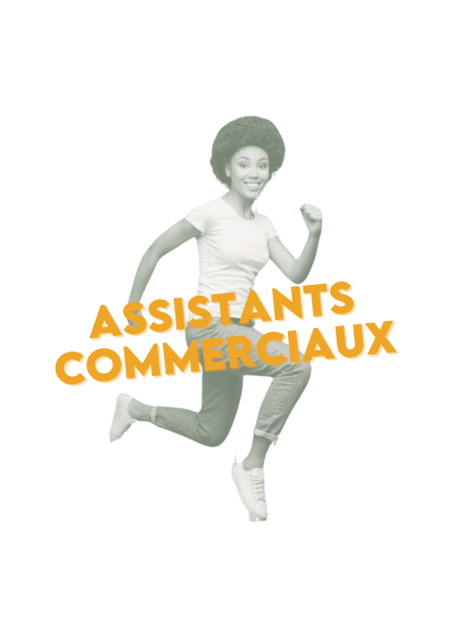 assistant commercial formation