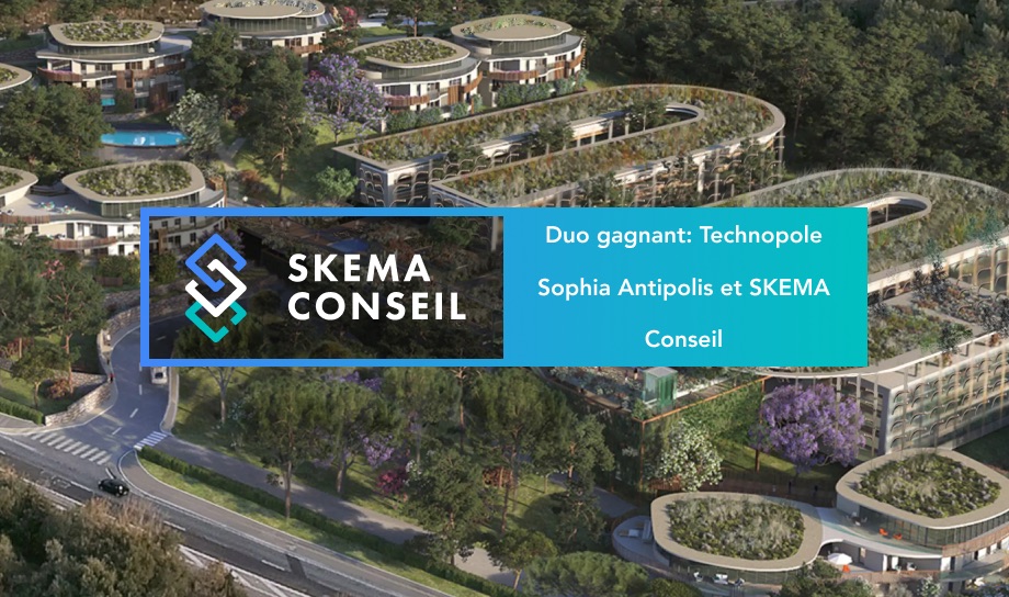 skema formation continue