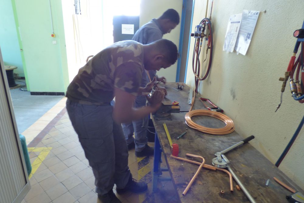 formation frigoriste
